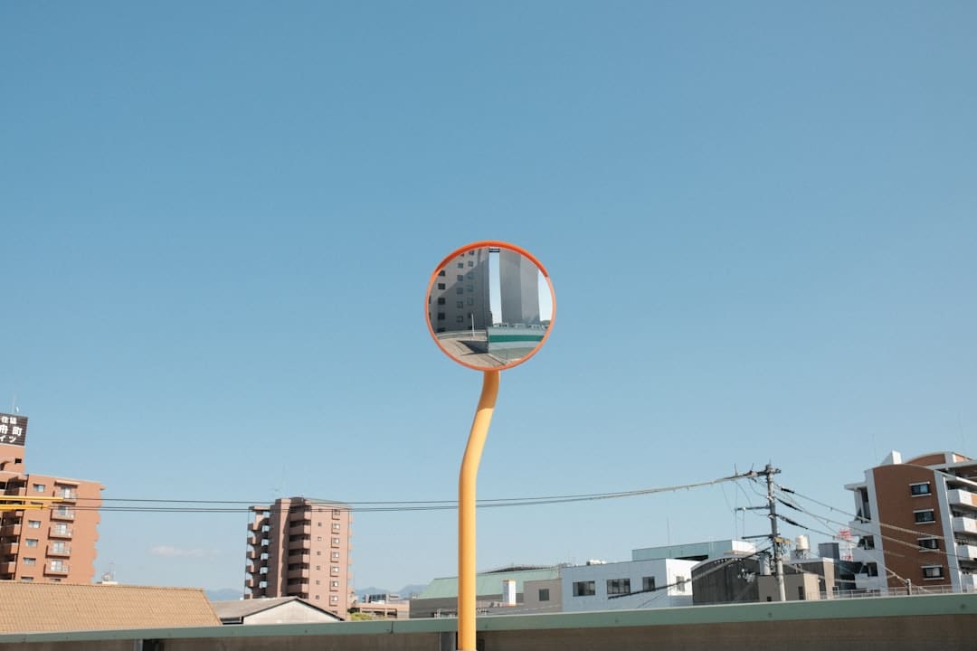 新西兰总理改组内阁　促经济重卫生